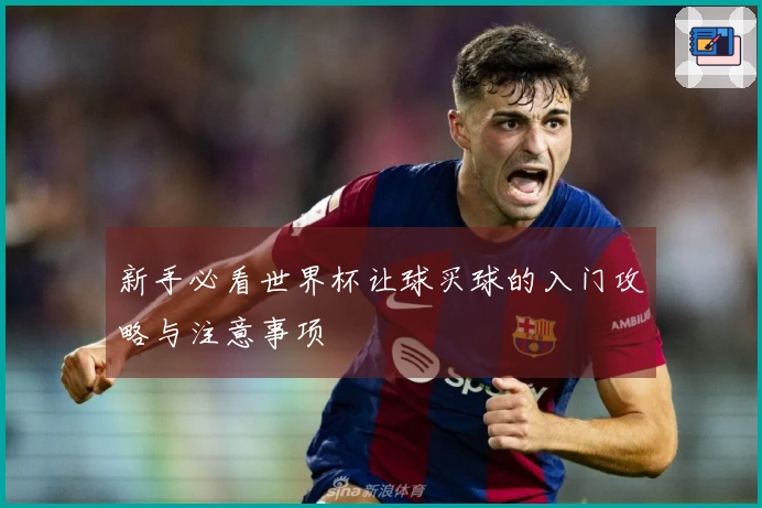 新手必看世界杯让球买球的入门攻略与注意事项