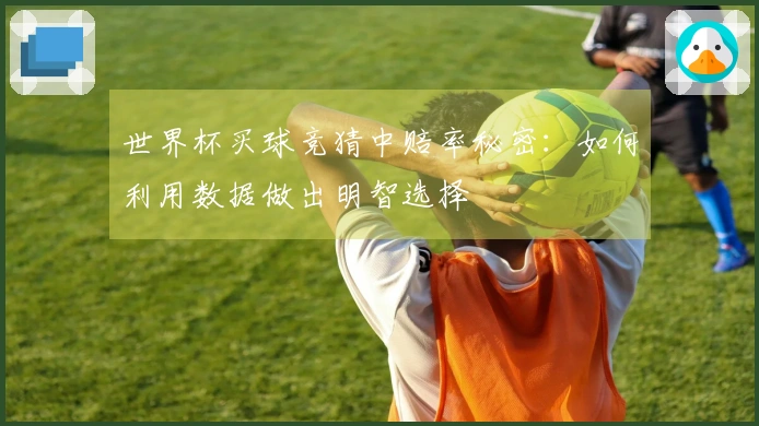世界杯买球竞猜中赔率秘密：如何利用数据做出明智选择