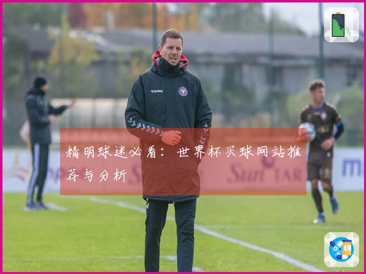 精明球迷必看：世界杯买球网站推荐与分析