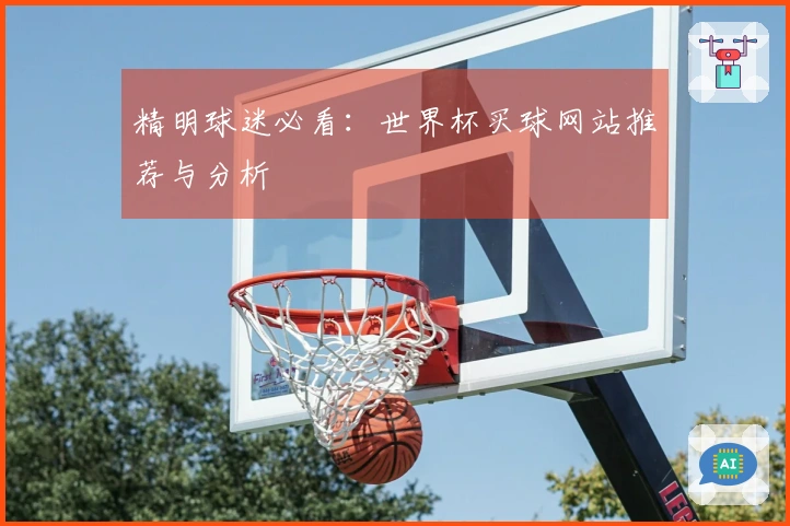 精明球迷必看：世界杯买球网站推荐与分析