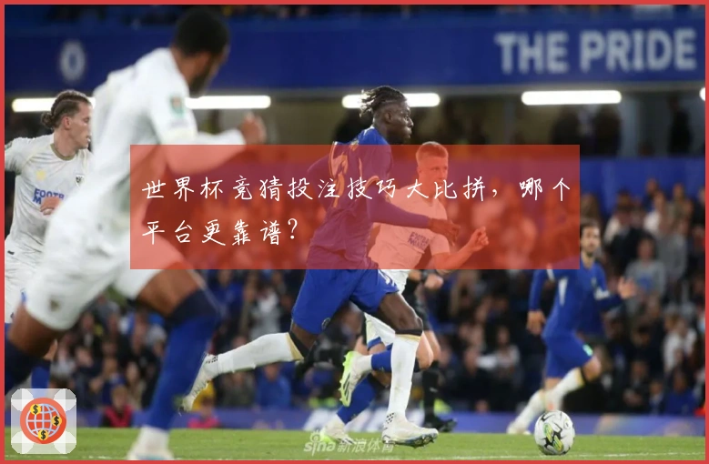 世界杯竞猜投注技巧大比拼，哪个平台更靠谱？