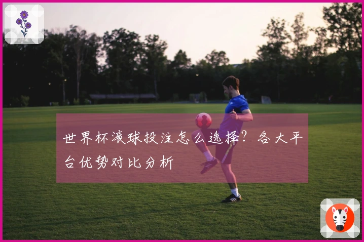 世界杯滚球投注怎么选择？各大平台优势对比分析